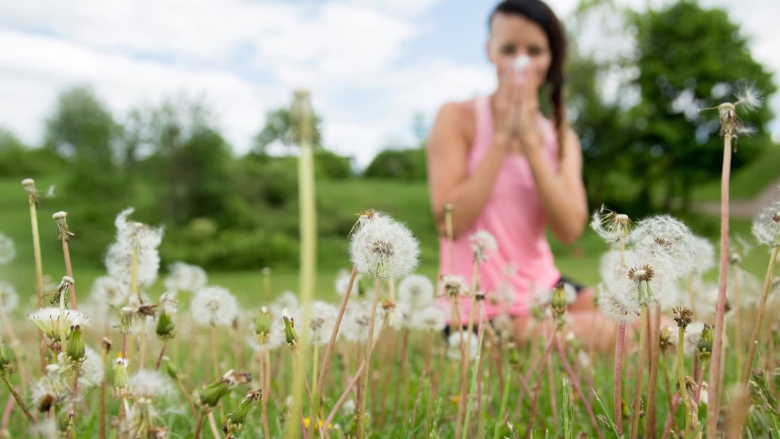 Summer woman coughs in a field of dandelions, hay fever symptoms, allergy.